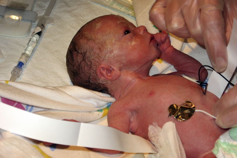 IMG_1357.JPG - 2/12/08 from Daniel's camera