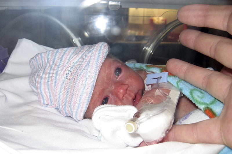 IMG_1367.JPG - 2/12/08 from Daniel's camera