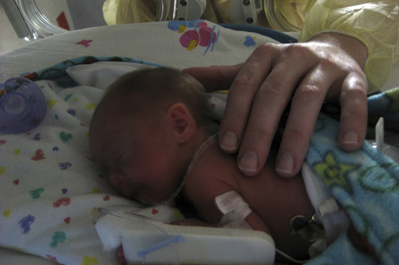 IMG_2082.JPG - 2/14/08 from Elizabeth's camera