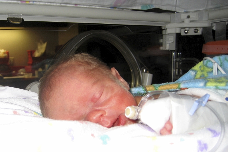 IMG_2092.JPG - 2/14/08 from Elizabeth's camera