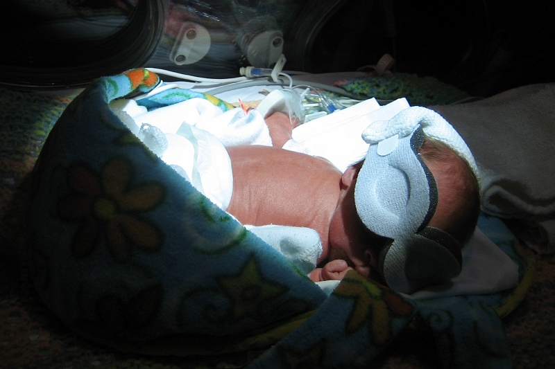 IMG_2093.JPG - Catching some rays - "Hey! Who stole my bikini top???!"
2/14/08 from Elizabeth's camera