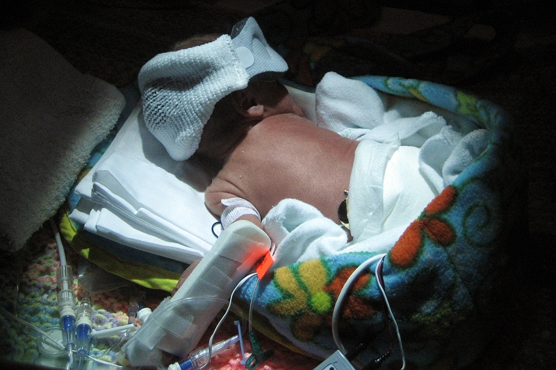 IMG_2097.JPG - 2/14/08 from Elizabeth's camera