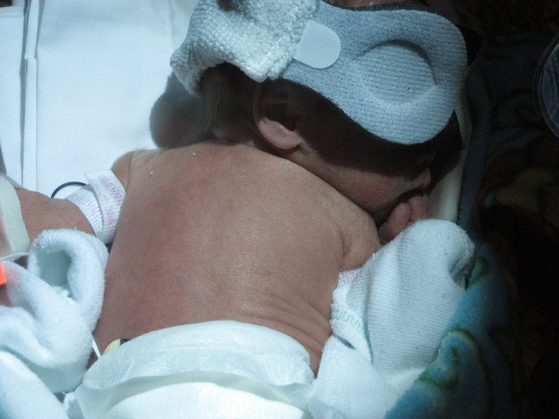 IMG_2099.JPG - 2/14/08 from Elizabeth's camera